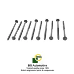 head-bolt-set-peugeot-xn1-cat-forklits-5377547