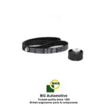 timing-belt-fiat-6290401