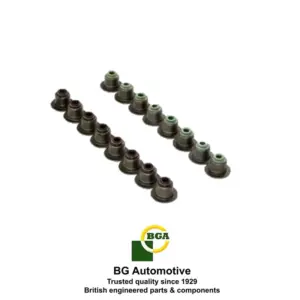 Valve-stem-seal-set-ford-6312028