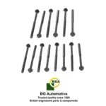 bolt-set-bmw-n52-5914117