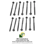 head-bolt-set-5520394