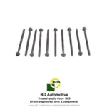 head-bolt-set-for-w10-b16-6233286