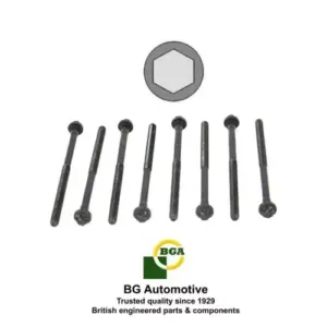 head-bolt-set-renault-j8s-5538290